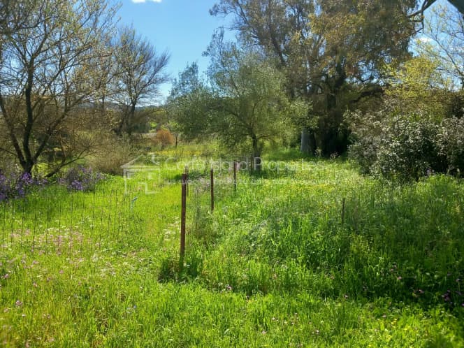 Building Plot in Palaiokastritsa, Corfu — Photo 7 of 8