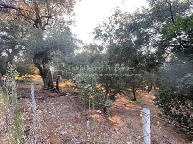Οικόπεδο στην Άγιος Γεώργιος, Κέρκυρα — Φωτογραφία 3 από 14