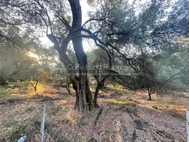 Οικόπεδο στην Άγιος Γεώργιος, Κέρκυρα — Φωτογραφία 4 από 14