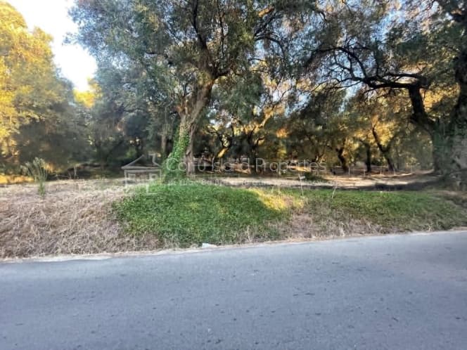 Οικόπεδο στην Άγιος Γεώργιος, Κέρκυρα — Φωτογραφία 6 από 14