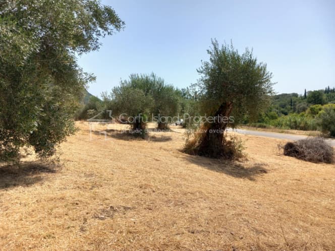 Οικόπεδο στην Παλαιοκαστρίτσα, Κέρκυρα — Φωτογραφία 8 από 18