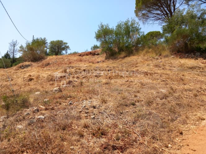 Οικόπεδο στην Παρέλι, Κέρκυρα — Φωτογραφία 12 από 30