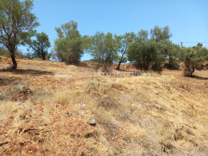 Οικόπεδο στην Παρέλι, Κέρκυρα — Φωτογραφία 25 από 30