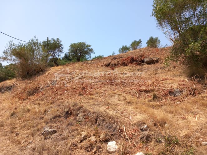 Οικόπεδο στην Παρέλι, Κέρκυρα — Φωτογραφία 11 από 30