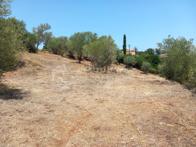 Οικόπεδο στην Παρέλι, Κέρκυρα — Φωτογραφία 7 από 30