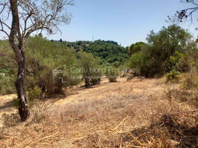 Οικόπεδο στην Παρέλι, Κέρκυρα — Φωτογραφία 4 από 30