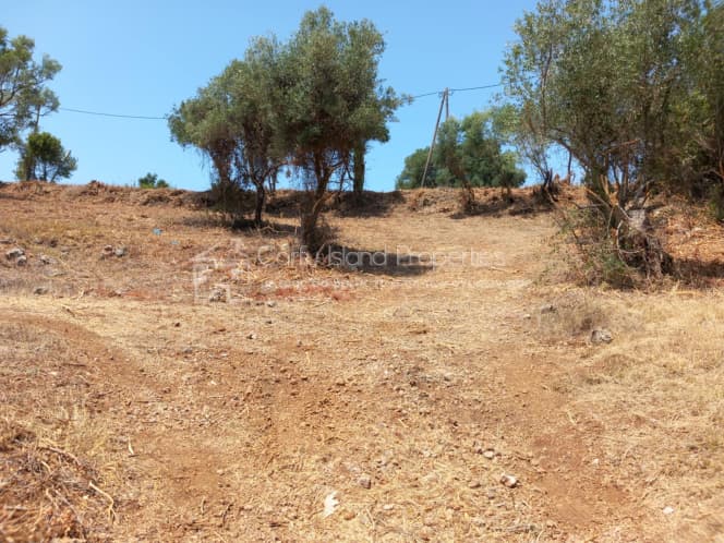 Οικόπεδο στην Παρέλι, Κέρκυρα — Φωτογραφία 9 από 30