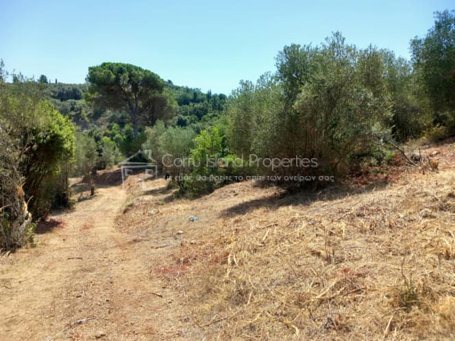 Οικόπεδο στην Παρέλι, Κέρκυρα — Φωτογραφία 24 από 30