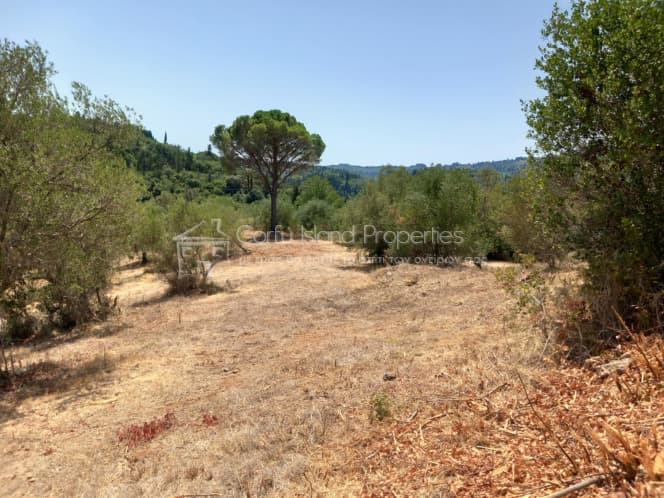 Οικόπεδο στην Παρέλι, Κέρκυρα — Φωτογραφία 23 από 30
