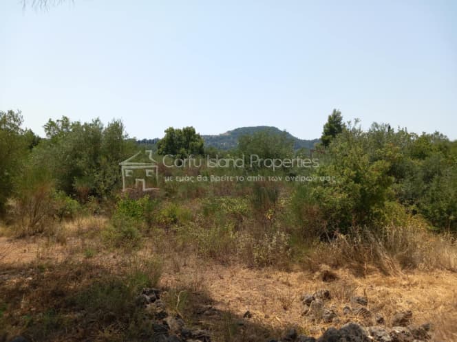 Οικόπεδο στην Παρέλι, Κέρκυρα — Φωτογραφία 14 από 30