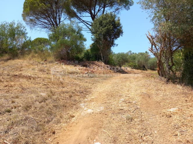 Οικόπεδο στην Παρέλι, Κέρκυρα — Φωτογραφία 22 από 30