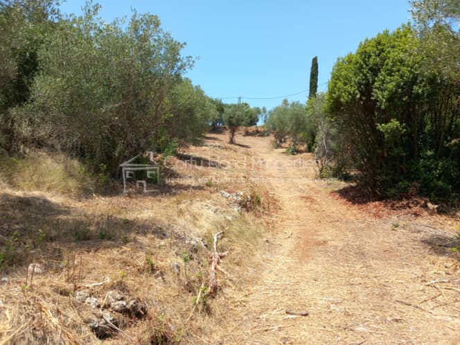 Οικόπεδο στην Παρέλι, Κέρκυρα — Φωτογραφία 29 από 30