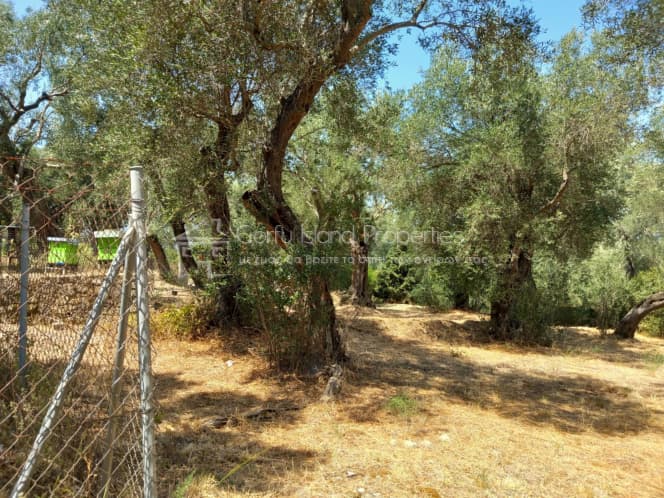 Οικόπεδο στην Αχίλλειο, Κέρκυρα — Φωτογραφία 8 από 10