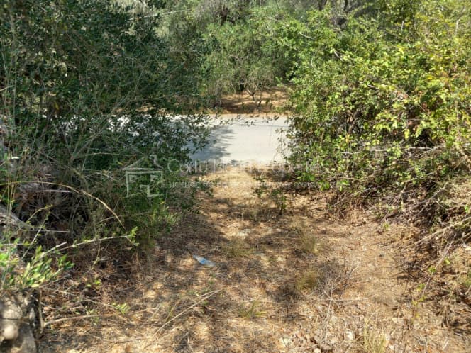 Οικόπεδο στην Αχίλλειο, Κέρκυρα — Φωτογραφία 9 από 10