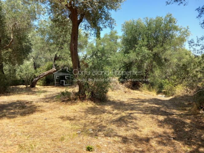 Οικόπεδο στην Αχίλλειο, Κέρκυρα — Φωτογραφία 3 από 10