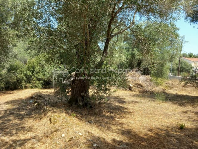Οικόπεδο στην Αχίλλειο, Κέρκυρα — Φωτογραφία 7 από 10