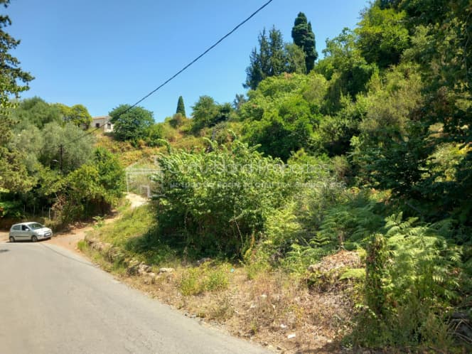 Οικόπεδο στην Παρέλι, Κέρκυρα — Φωτογραφία 12 από 15