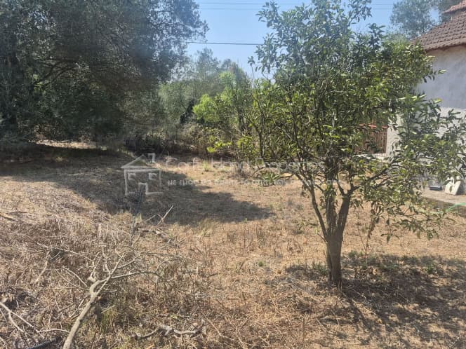House in Vasilatika, Corfu — Photo 13 of 30