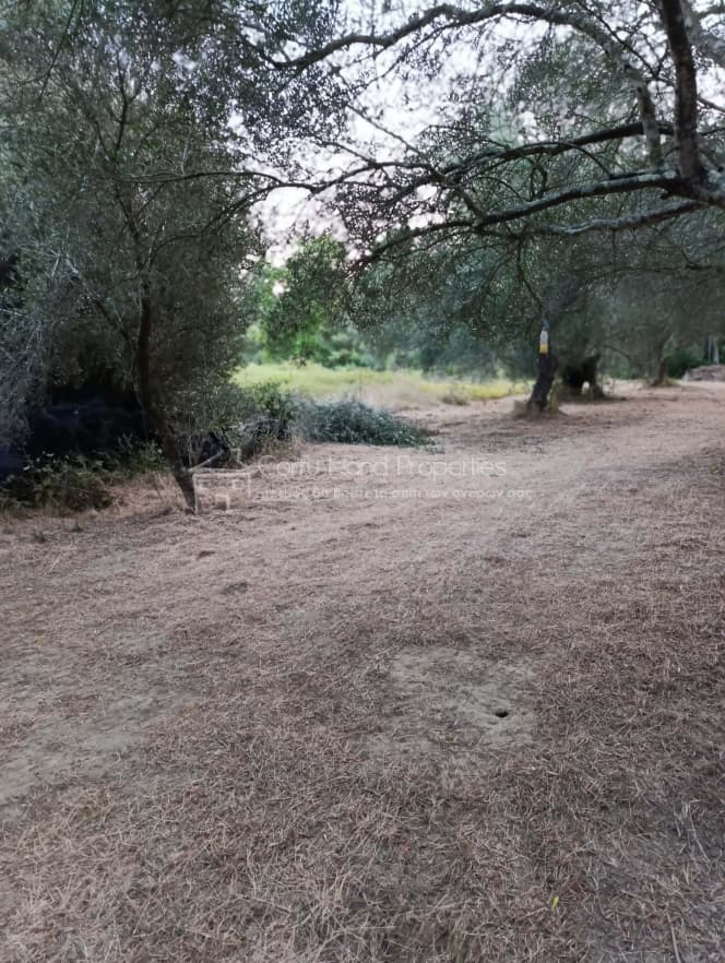 House in Vasilatika, Corfu — Photo 15 of 30