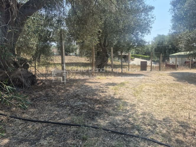 House in Vasilatika, Corfu — Photo 12 of 30