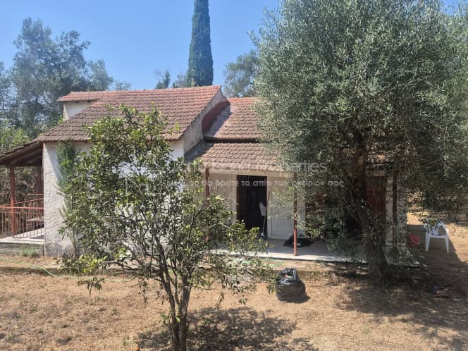 House in Vasilatika, Corfu — Photo 3 of 30