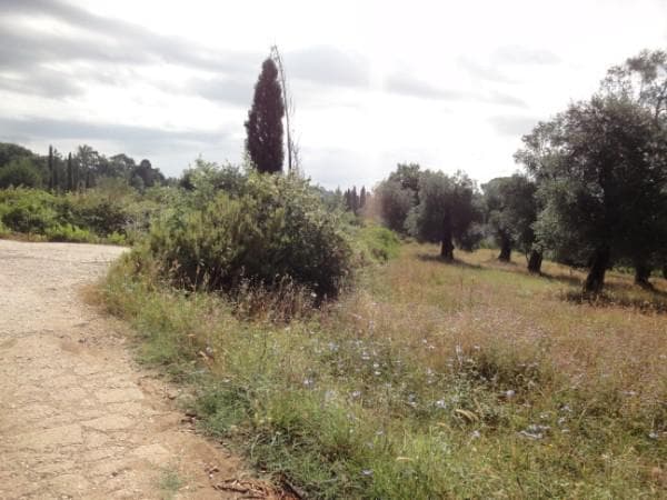 Οικόπεδο στην Παρέλι, Κέρκυρα — Φωτογραφία 4 από 6