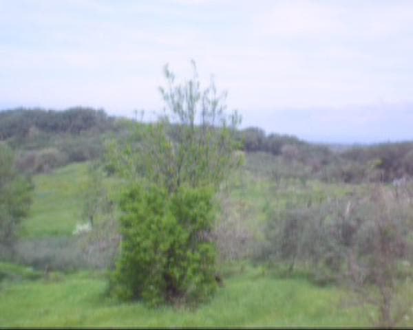 Building Plot in Kassiopi, Corfu — Photo 3 of 6
