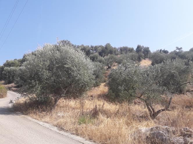 Οικόπεδο στην Κασσιόπη, Κέρκυρα — Φωτογραφία 6 από 28