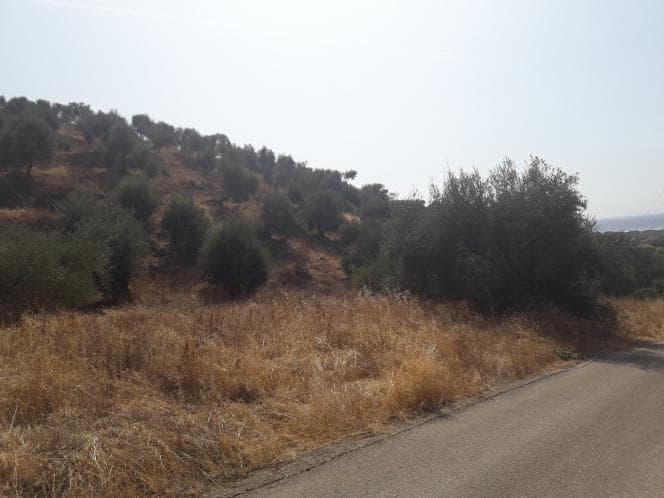 Οικόπεδο στην Κασσιόπη, Κέρκυρα — Φωτογραφία 14 από 28