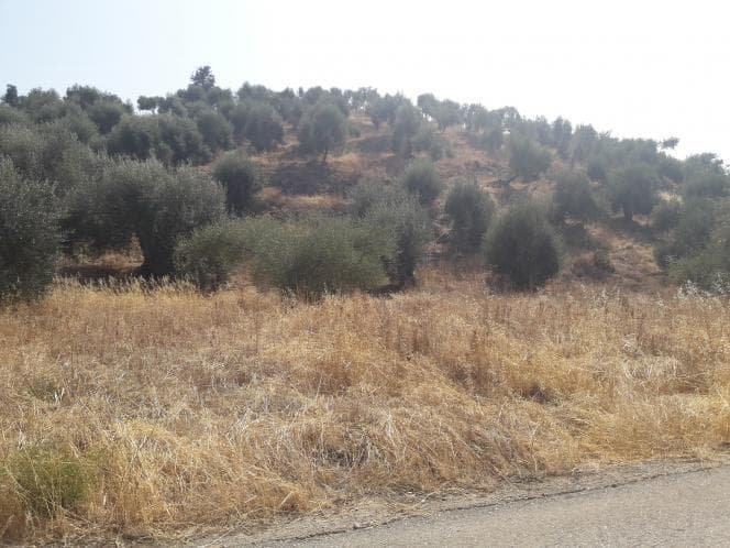 Οικόπεδο στην Κασσιόπη, Κέρκυρα — Φωτογραφία 7 από 28
