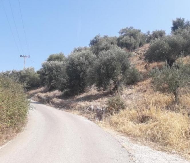 Οικόπεδο στην Κασσιόπη, Κέρκυρα — Φωτογραφία 17 από 28