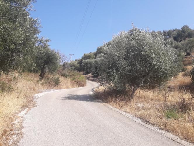 Οικόπεδο στην Κασσιόπη, Κέρκυρα — Φωτογραφία 5 από 28