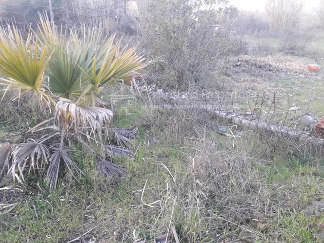 Οικόπεδο στην Όθωνοι, Κέρκυρα — Φωτογραφία 20 από 25