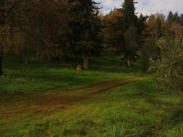 Οικόπεδο στην Παρέλι, Κέρκυρα — Φωτογραφία 8 από 14