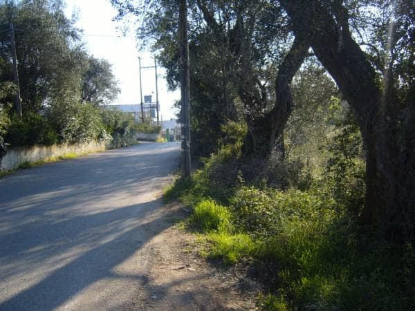 Building Plot in Pareli, Corfu — Photo 4 of 6