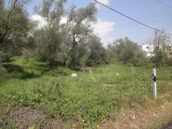 Οικόπεδο στην Όθωνοι, Κέρκυρα — Φωτογραφία 5 από 6