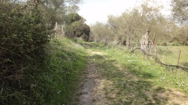 Building Plot in Pareli, Corfu — Photo 3 of 14