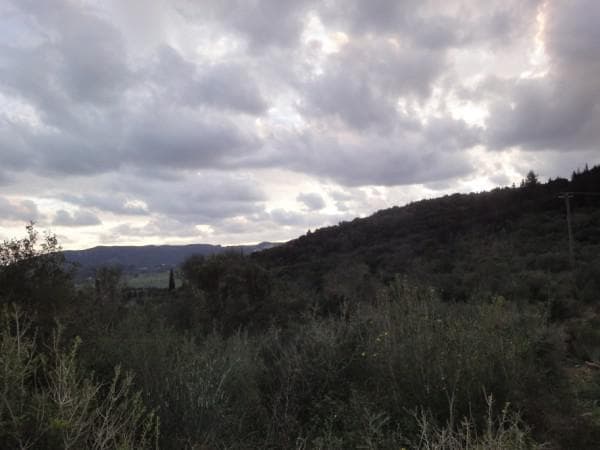 Building Plot in Achilleio, Corfu — Photo 3 of 5