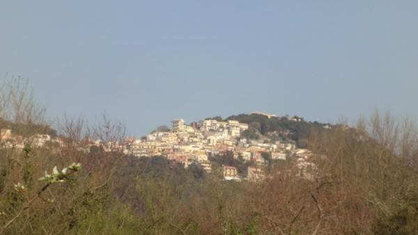 Οικόπεδο στην Αχίλλειο, Κέρκυρα — Φωτογραφία 7 από 10