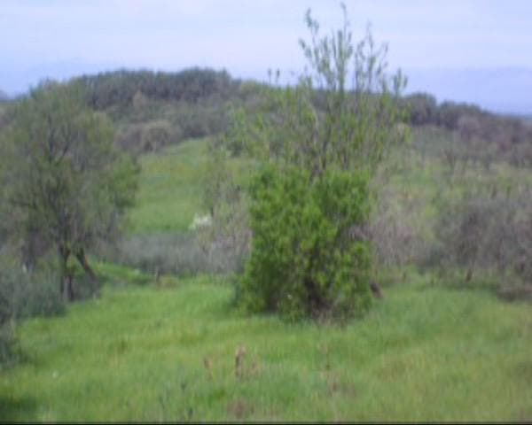 Building Plot in Kassiopi, Corfu — Photo 5 of 6