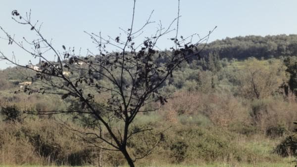 Οικόπεδο στην Κασσιόπη, Κέρκυρα — Φωτογραφία 4 από 5