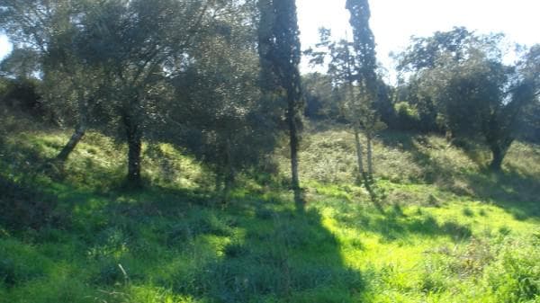Building Plot in Faiakes, Corfu — Photo 3 of 3