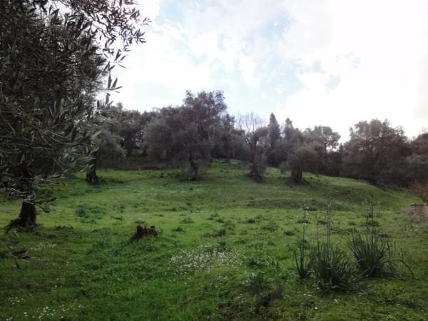 Building Plot in Faiakes, Corfu — Photo 3 of 3