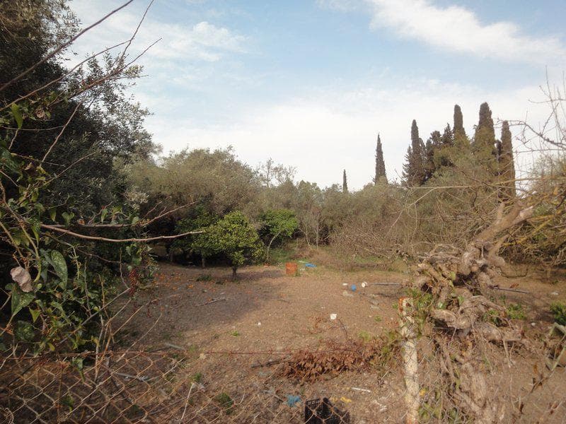Οικόπεδο στην Αχίλλειο, Κέρκυρα — Φωτογραφία 3 από 8