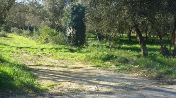 Building Plot in Palaiokastritsa, Corfu — Photo 5 of 5