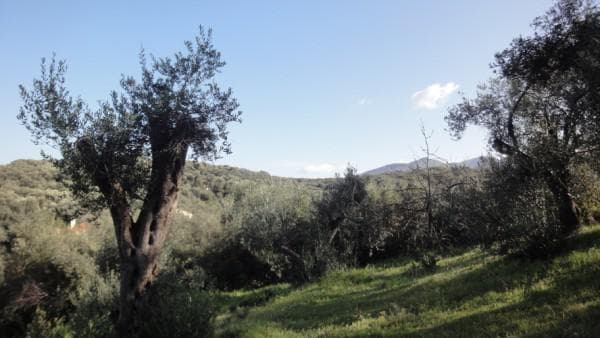 Οικόπεδο στην Κασσιόπη, Κέρκυρα — Φωτογραφία 7 από 12