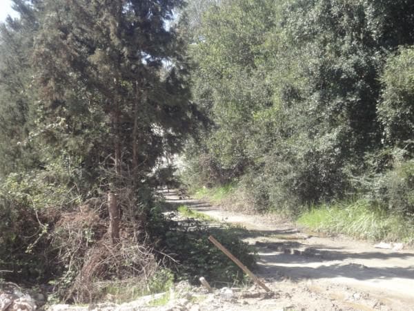 Building Plot in Pareli, Corfu — Photo 2 of 4