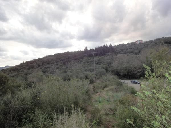 Building Plot in Pareli, Corfu — Photo 1 of 5