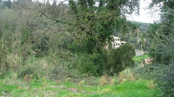 Building Plot in Pareli, Corfu — Photo 6 of 6