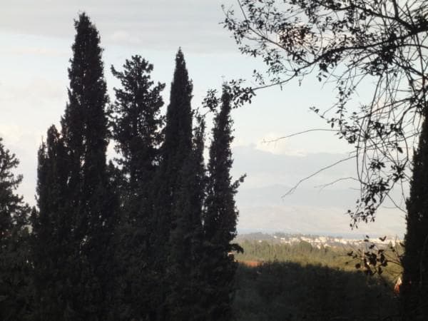 Building Plot in Pareli, Corfu — Photo 5 of 5